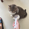 HELLOJOY宠物猫毛梳喷雾按摩梳去浮毛开结撸猫针梳猫咪梳毛专用神器猫梳子 实拍图