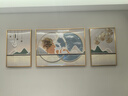 诗六艺家饰客厅装饰画北欧现代简约沙发背景墙挂画三联画大气轻奢壁画晶瓷画 福禄有幸（铝合金外框） 晶瓷画左右40*60+中间80*60亮面 实拍图