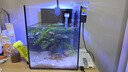 金晶超白玻璃桌面鱼缸小型家用办公室生态懒人全套造景小缸水草缸 鱼缸全套十件超值大礼包 20*20*25 实拍图