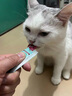 lorde里兜猫零食全价主食猫条成猫幼猫猫湿粮罐头海王猫条混合口味18支 实拍图