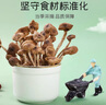 富昌 茶树菇250g 福建特产 茶树蘑菇 煲汤炒菜火锅食材 实拍图