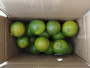 京喜加【25年鲜橙】云南冰糖橙新鲜采摘秋橙当季新鲜水果 带箱5斤55-60mm 实拍图