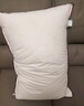 水星家纺枕头枕芯酒店枕头护颈枕头芯家用一对纯棉抗菌可水洗中枕48x74cm 实拍图