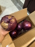 京地达山东新鲜紫洋葱净重3斤 单果200g+ 洋葱头 红皮圆葱 源头直发包邮 实拍图
