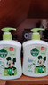 滴露（Dettol）洗手液茉莉绿茶清香500g*2 儿童洗手液家庭抑菌消毒 迪士尼 实拍图