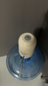 志高（CHIGO）双泵抽水器桶装水纯净水抽水器 桶装水取水器办公室自动上水器808 实拍图