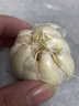 【百万单爆品】紫白皮蒜水果大蒜超市生鲜蔬菜调料即食蒜 大蒜 500g 单果3.5-5cm 实拍图