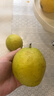 京鲜生 新疆特级库尔勒香梨 净重5斤单果120g以上 生鲜水果 实拍图