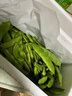 京鲜生山东新鲜油豆角1.8斤装新鲜蔬菜源头直发包邮 实拍图