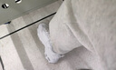 斯凯奇（Skechers）女鞋秋季厚底老爹鞋百搭熊猫鞋软底舒适外穿休闲运动鞋11959 实拍图