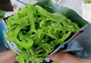 云山半海藻沙拉200g*5袋裙带菜开袋即食海草海带丝凉拌菜日式寿司 实拍图