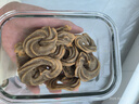 格兰仕（Galanz）烤箱家用烤箱电烤箱32升机械式操控上下精准控温专业烘焙易操作烘烤蛋糕面包K13 实拍图