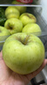京地达山东青森苹果青苹果净重4.5斤单果190g新鲜水果源头直发包邮 实拍图