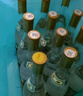 汾酒 黄盖玻汾 清香型高度白酒 53度 475mL*12瓶 整箱装 中秋送礼 实拍图