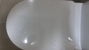 法恩莎（FAENZA） 法恩莎马桶盖 家用通用坐便器盖板 原装加厚配件法恩莎马桶盖 适配U型FB1668（原厂PP盖板） 实拍图