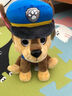 汪汪队立大功（PAW PATROL）毛绒玩具狗狗陪睡玩偶经典款天天小号坐姿可爱公仔男女孩生日礼物 实拍图