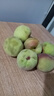 京氿生山东青州蜜桃脆甜桃子秋毛桃青色硬桃子小冬桃当季新鲜水果包邮 自吃【净重4.5斤】单果70g+ 实拍图