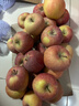 阿克苏苹果新疆阿克苏冰糖心苹果新鲜时令水果礼盒红富士丑苹果源头直发包邮 10斤一级果70-85mm 净重8.5-9斤 实拍图