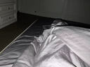 京东京造蚕丝被 兰精天丝夏凉被空调被蚕丝被100%蚕丝凉感被1.8x2.1m 实拍图