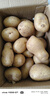 京鲜生恩施小土豆净重3斤 单果30-100g新鲜黄心马铃薯洋芋源头直发 实拍图
