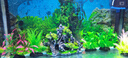 萌嘟星宠 仿真水草鱼缸造景套装水族箱布景装饰摆件假植塑料假水草 5件套 实拍图