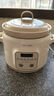 小熊（Bear）电炖锅 电炖盅 煲汤锅 炖汤锅 电砂锅 煮粥锅 婴儿熬粥家用可预约白瓷 2-4人用 DDG-E20M1米黄色2L 实拍图