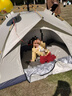 北极狼帐篷户外全自动帐篷野营折叠帐露营加厚防晒野外便携式免搭建帐篷 实拍图