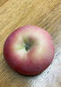 京鲜生 山东烟台红富士苹果 9斤装单果80-85mm 生鲜水果 源头直发 实拍图