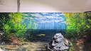 新款水草缸造景高级鱼缸背景贴纸5d高清画立体画立体壁画正胶自粘 意境造景水草-036 宽50cm-高30cm【送刮板】 晒单实拍图