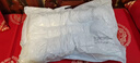 博洋家纺枕头决明子枕芯双人枕头芯成人学生草本枕决明子枕48*74cm 实拍图