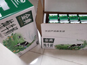 伊利金典纯牛奶整箱 250ml*16盒 3.6g乳蛋白 礼盒装 实拍图