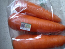 绿源禾心有机胡萝卜新鲜带泥红萝卜甜脆生吃沙拉榨汁辅食材健康无农残蔬菜 两斤 实拍图