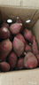 2025新鲜紫薯现挖小紫薯红薯地瓜芋头直播间超市应季生鲜蔬菜 小紫薯迷你宝宝薯 （单果1两以下） 2斤含箱 实拍图