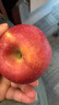 遇见悯农正宗天水花牛苹果甘肃面苹果应季新鲜水果蛇粉面果刮泥生鲜整箱包 甘肃天水花牛苹果（含箱5斤） 超值中果70mm起 晒单实拍图
