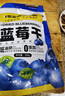 三只松鼠每日蓝莓干500g 蜜饯果干酸甜休闲零食下午茶孕妇儿童健康零食 实拍图