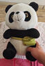 熊猫熊小熊猫玩偶儿童毛绒玩具娃娃花花大公仔生日礼物陪睡布娃娃抱抱熊 实拍图