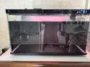 米家（MIJIA）小米米家智能生态鱼缸还原自然生态补仓一次三月无忧出差旅行必备 实拍图