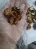 沐小七果蔬 大凉山新鲜湿核桃【多地次日达】去青皮嫩纸皮核桃水果礼盒送礼 SS+级老树巨无霸果王【更大更香甜】 去青皮9斤装【送夹子】蕞划算丨净8斤 实拍图
