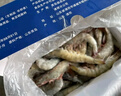 鲜京采【超28天全额退】 28天鲜冻虾 2斤装 40-60只 源头直发 北海大虾  实拍图