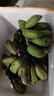 小博农场广西香蕉 小米蕉 新鲜水果 生鲜 生果 小米蕉是小的 青芭蕉特产 小米蕉净9斤（青蕉需催熟后食用） 实拍图