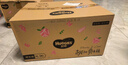 好奇（Huggies）铂金装小桃裤纸尿裤XL96片(12-17kg)加大号尿不湿透【透爽散热】 实拍图