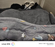 南极人羊羔绒被子秋冬季棉被单人加厚保暖10斤被芯双面绒春秋毛毯盖被褥 云朵萌熊JSH【双面绒超温暖】 150x200cm/约5斤-秋冬被 实拍图