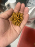 皇家成猫猫粮 口感型 ES35通用粮12月以上2KG 实拍图