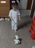 汇乐玩具婴幼儿童玩具学爬遛遛狗宝宝电动玩具0-1岁早教男女孩生日礼物 实拍图