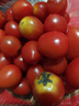 新鲜采摘圣女果樱桃小番茄蔬菜 带箱1斤精选果 实拍图