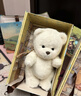 莉娜熊（TeddyTales）小熊玩偶毛绒玩具熊泰迪手作熊安抚娃娃送礼送人生日礼物女生 奶白色（明星款） 中号站姿约30cm 实拍图