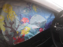 趣行车载窗帘 婴儿车内遮光帘汽车宝宝侧窗防晒隔热磁吸遮阳帘 正驾位 实拍图