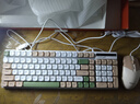 方正（Founder）机械手感键鼠套装 键盘鼠标游戏电竞有线台式电脑笔记本一体机办公薄膜键鼠【卡其色】 实拍图