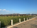 BabyStar车载长途旅行便携式烧水壶烧水杯电热水杯恒温12v24v 车载烧水壶 实拍图