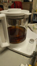 米家小米智能养生壶烧水壶电热水壶玻璃恒温壶 泡茶煮茶器一体 儿童冲奶自动保温 家用办公室1.8升P1 实拍图